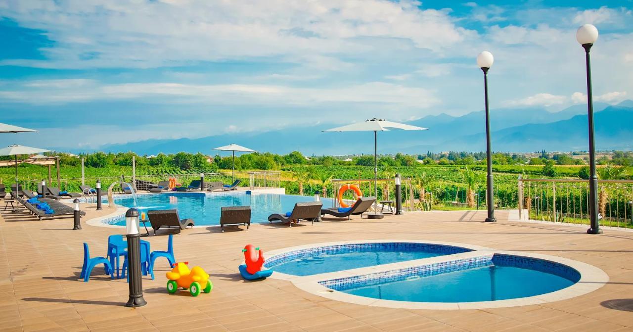 Panorama Kakheti Resort Gurjaani Екстериор снимка
