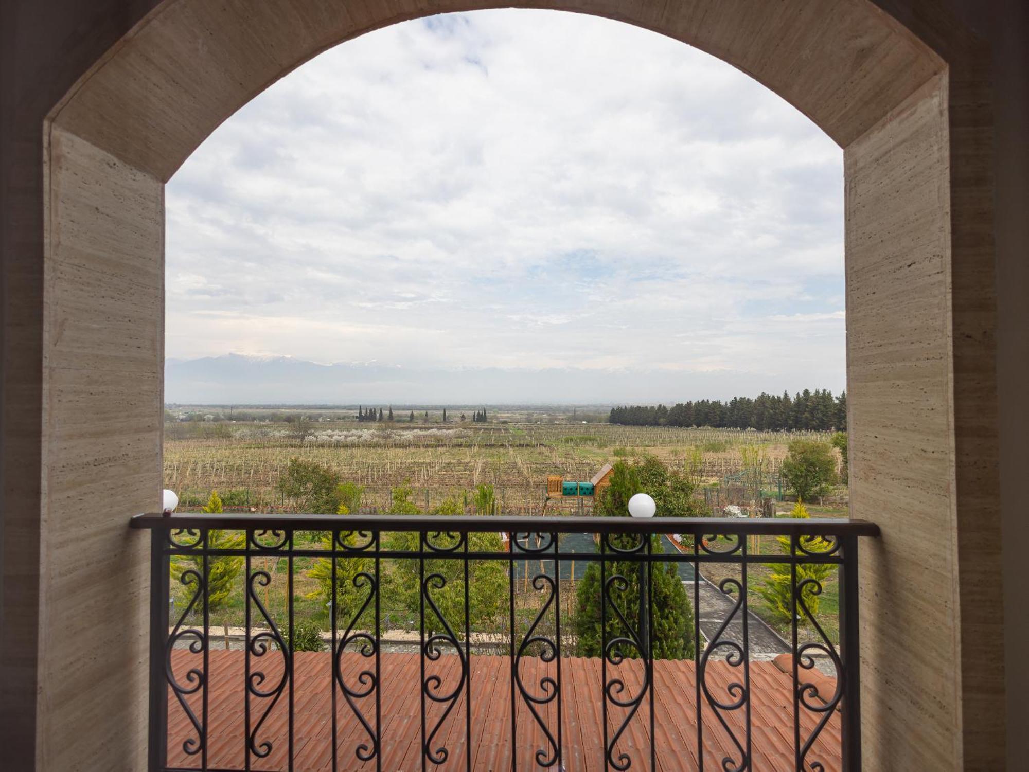 Panorama Kakheti Resort Gurjaani Екстериор снимка